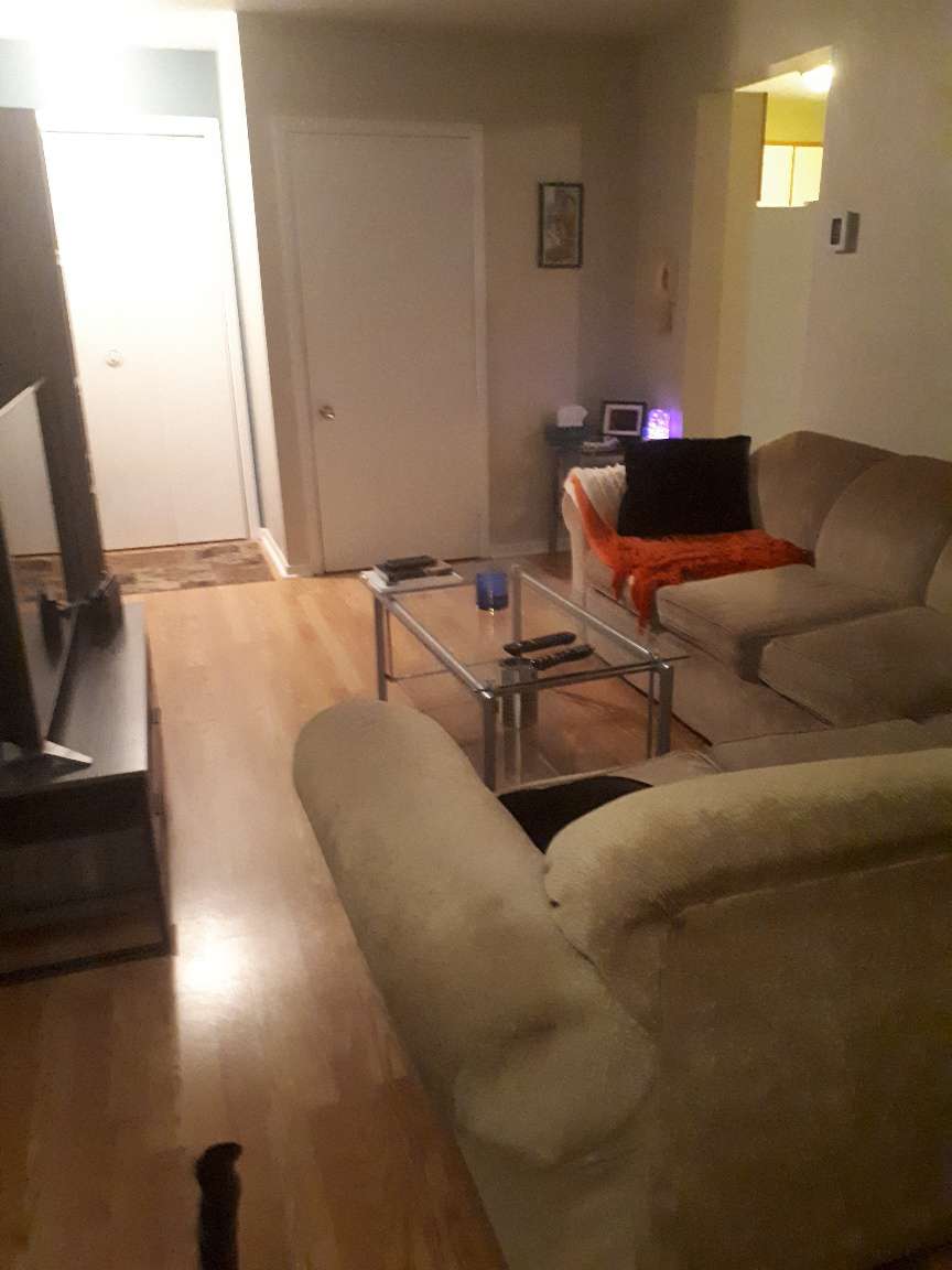 salon2