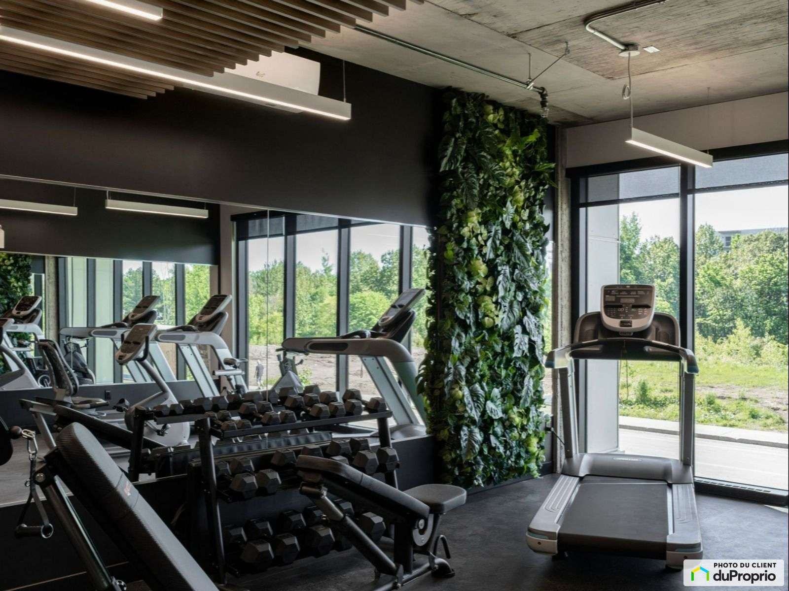 gym